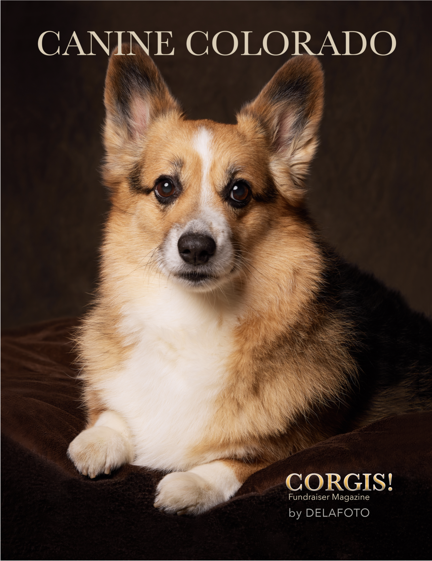 NEW Canine Colorado Fundraiser Magazine!</a>