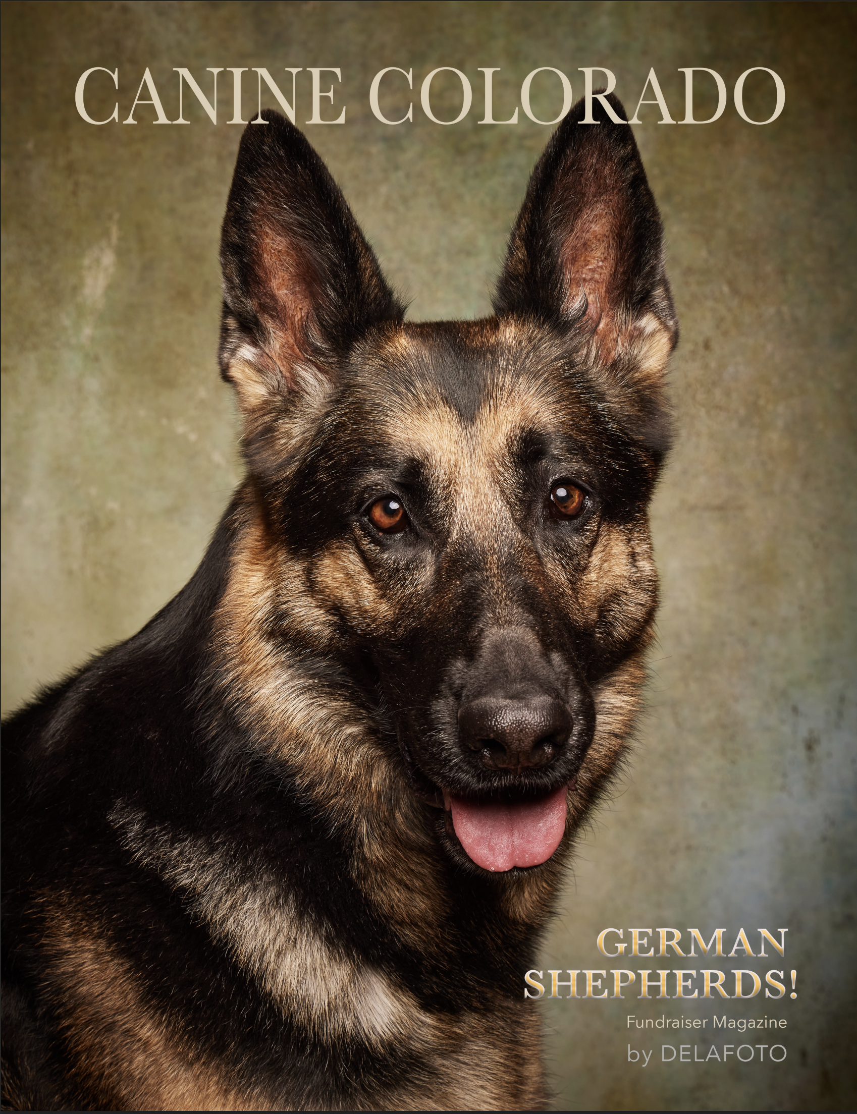 Our German Shepherd Magazine is Complete!