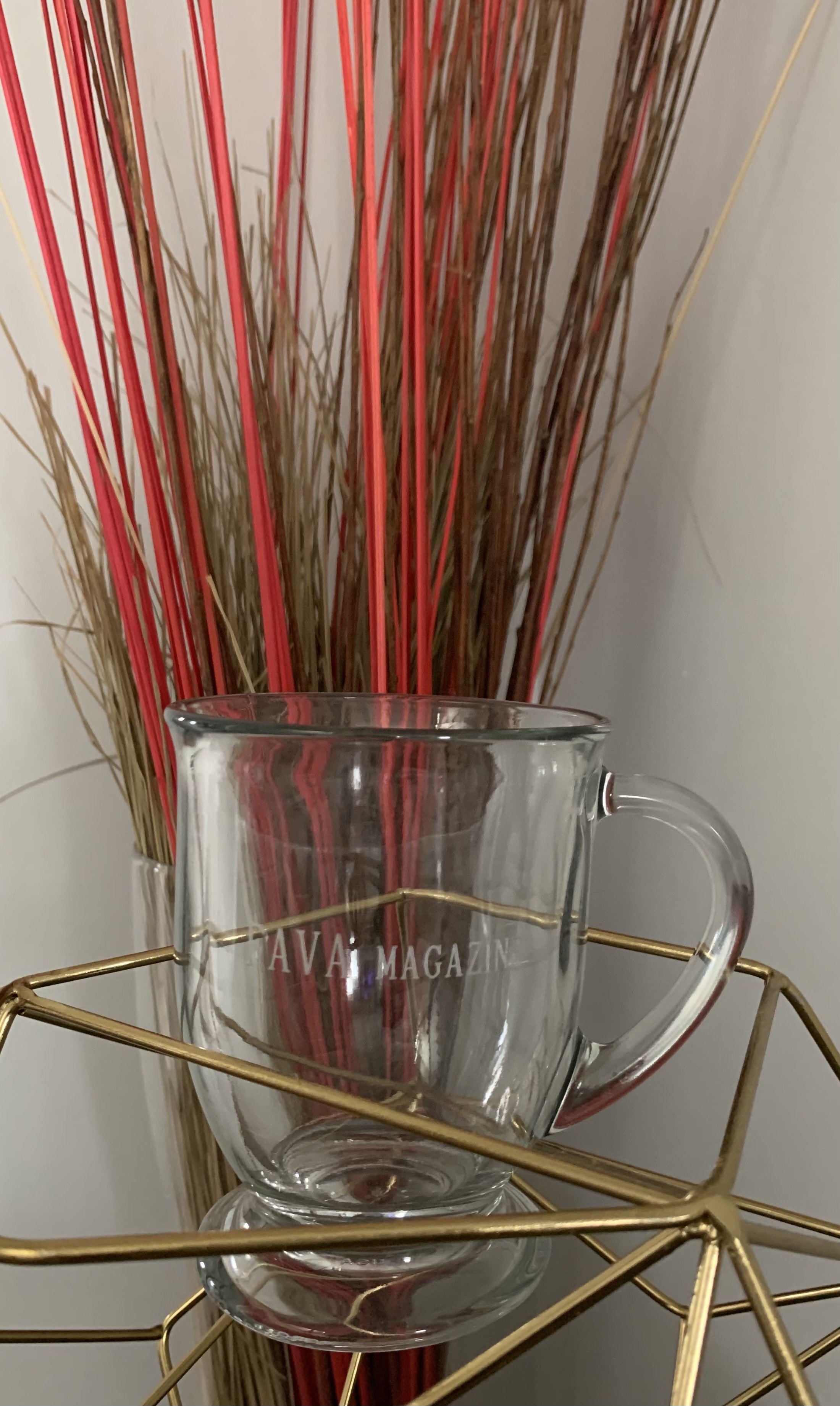 FAVA MAGAZINE MUG