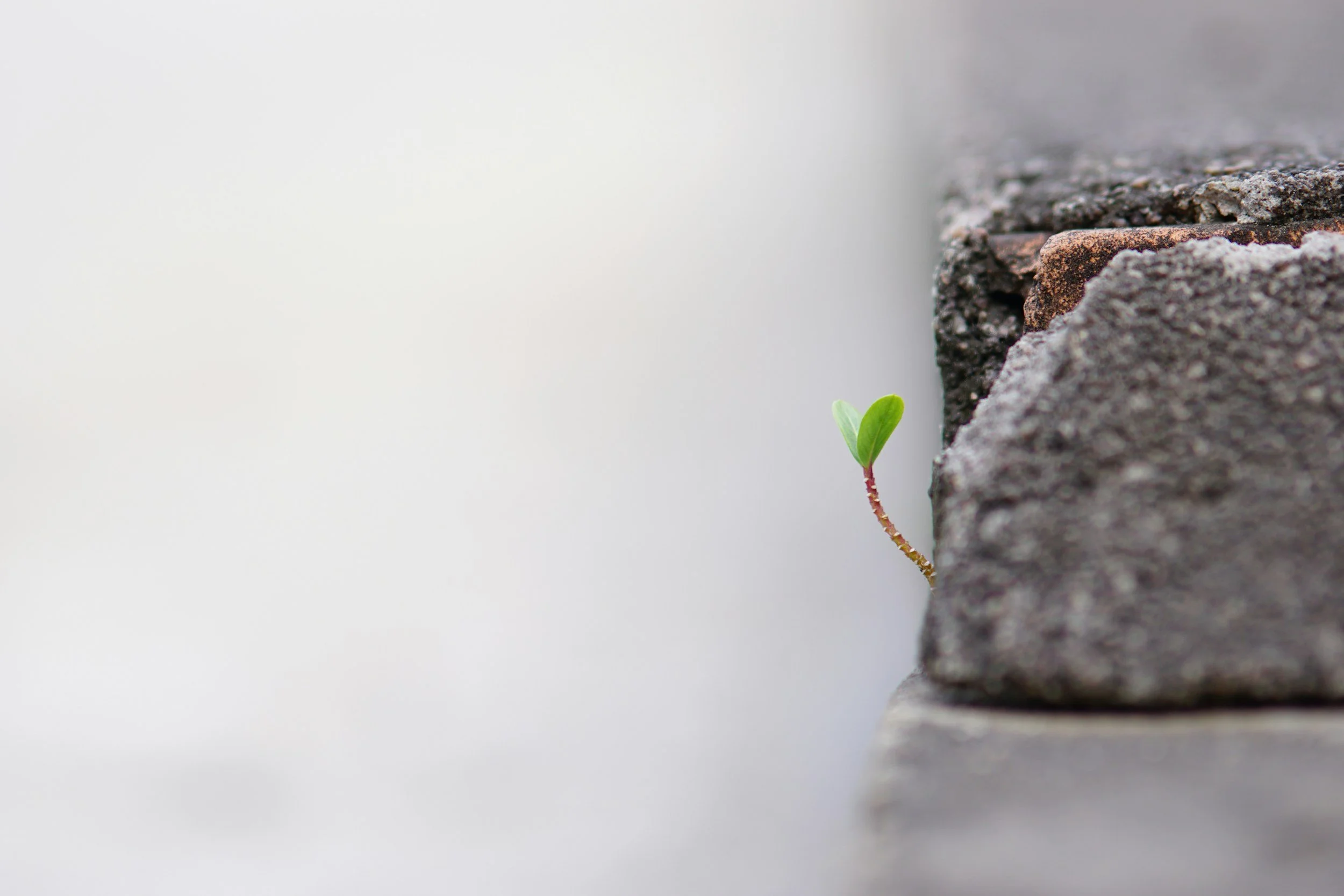 Narrow To Grow