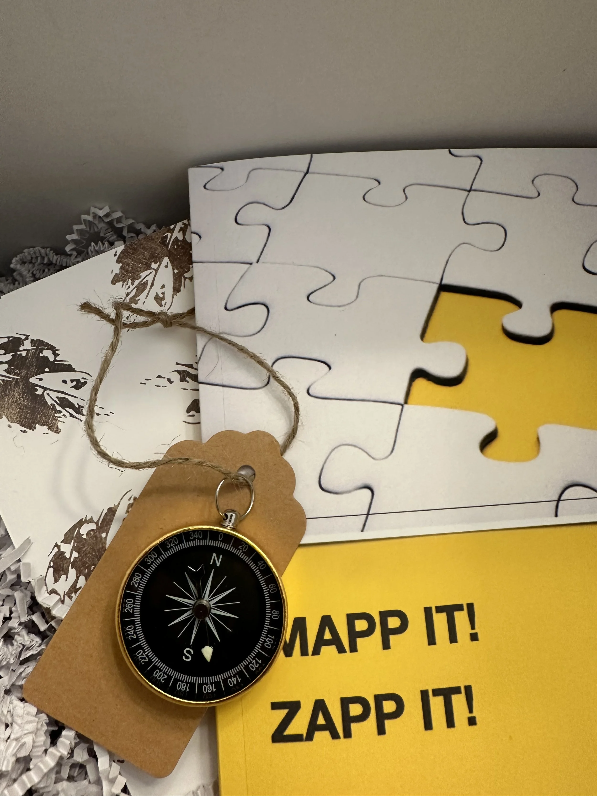 MAPP IT! ZAPP IT! eBook
