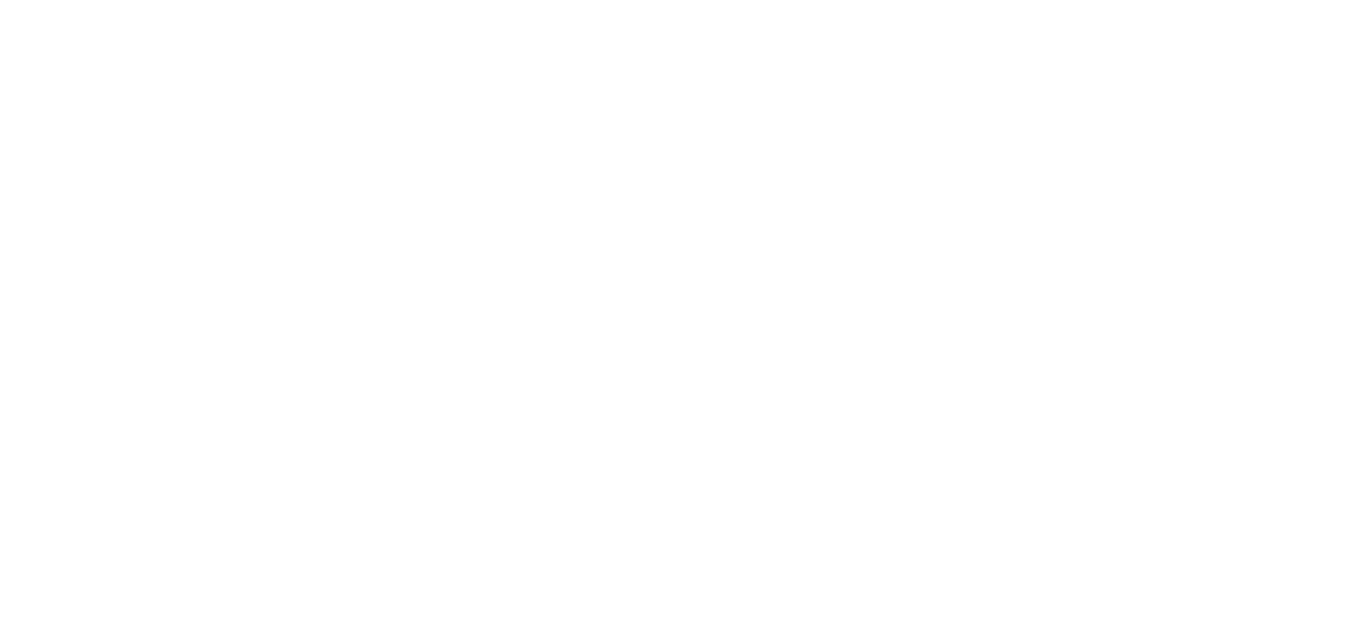 BOUDICA