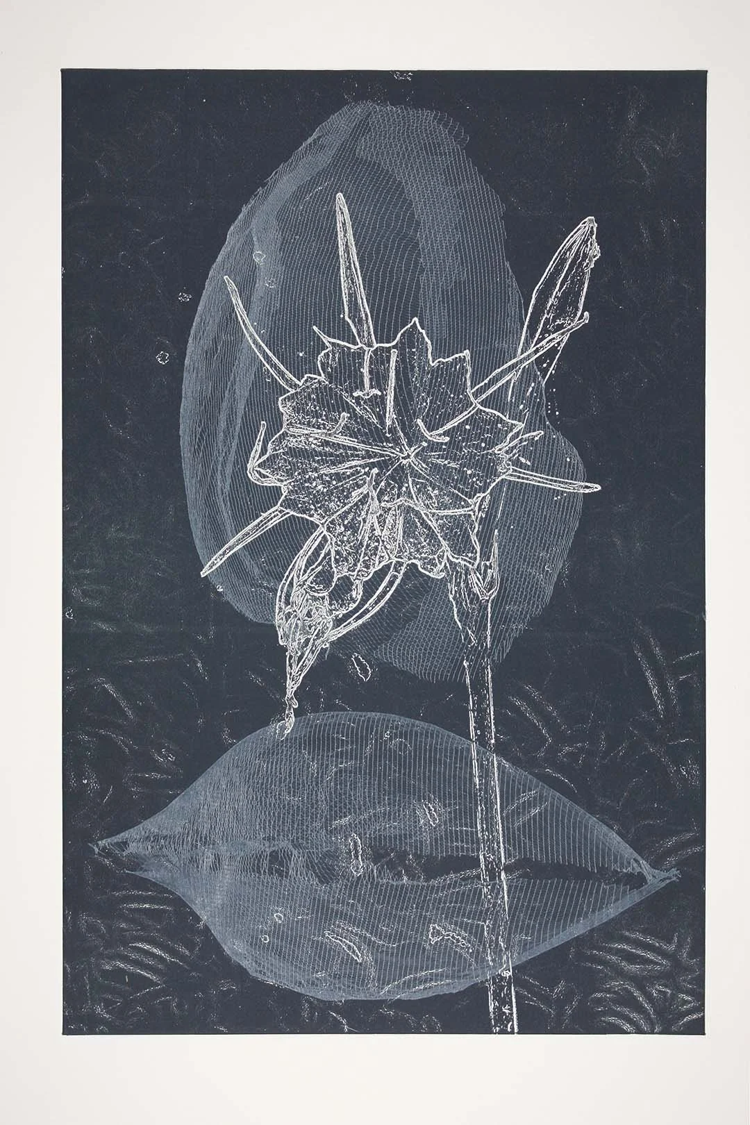 Art by The Cahaba River Watershed Project
