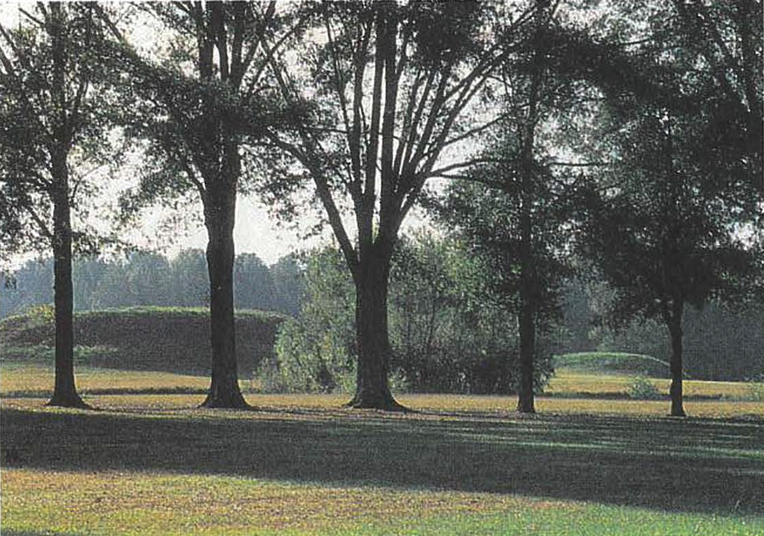 Chip Cooper - Featured Artist