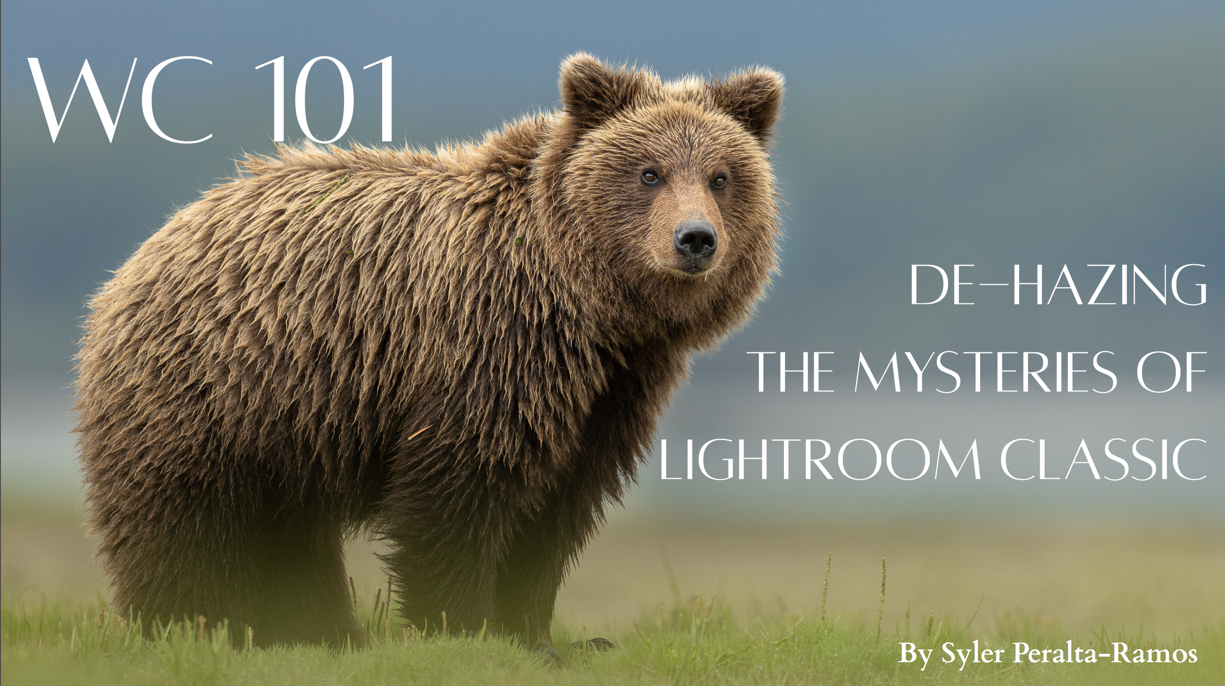 Screenshot 2026-02-06 at 11.57.45 AM.png