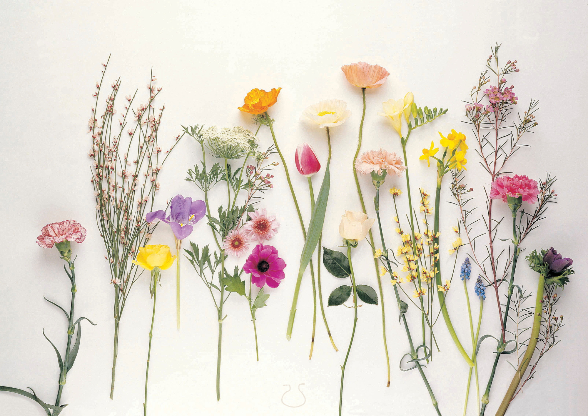 Discover Your True Nature