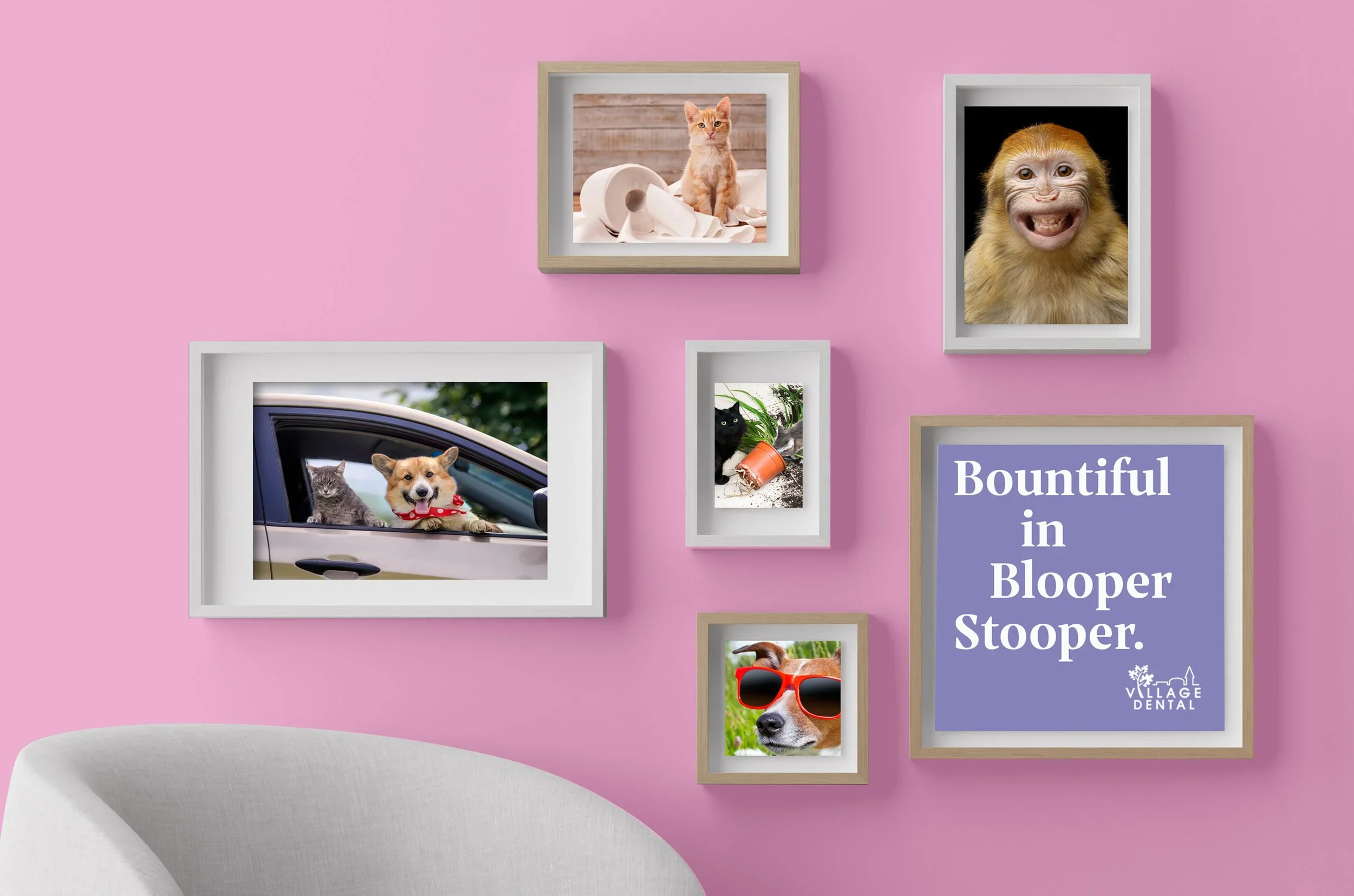 VillageDental_30R2C1_Interiors (1).webp