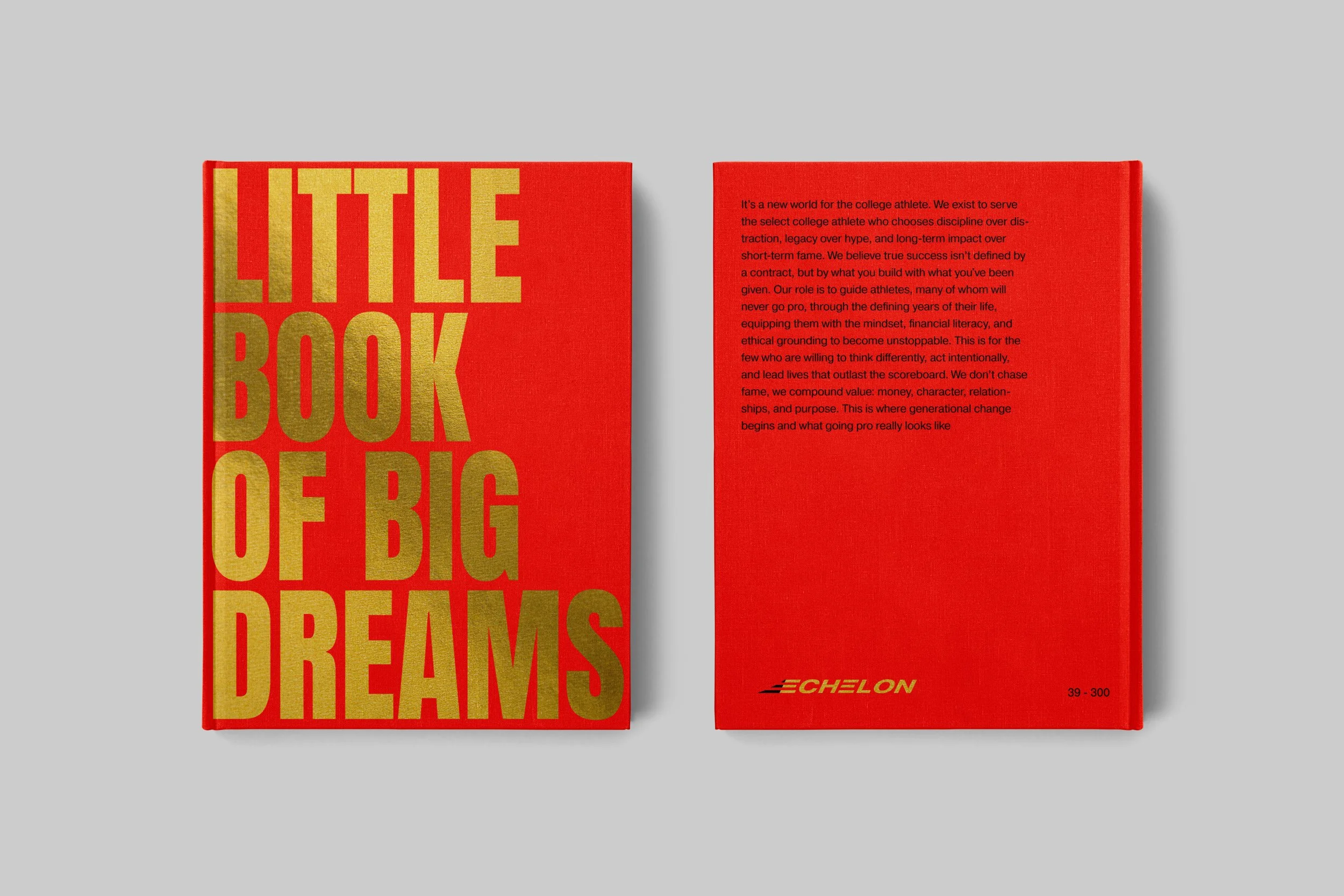Book Cover PSD Mockup copy.jpg