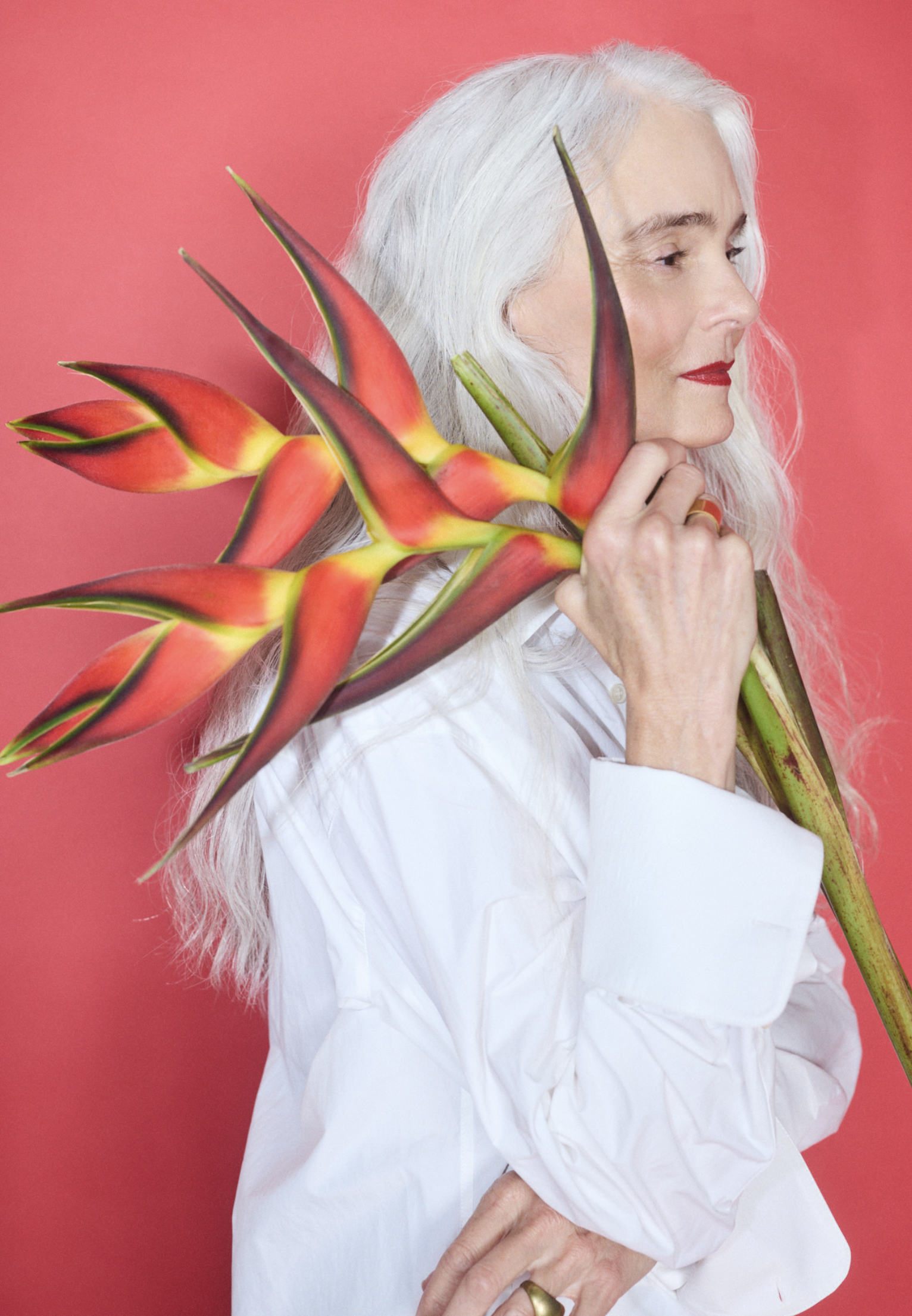 Screenshot 2026-02-18 at 9.57.37 AM.png