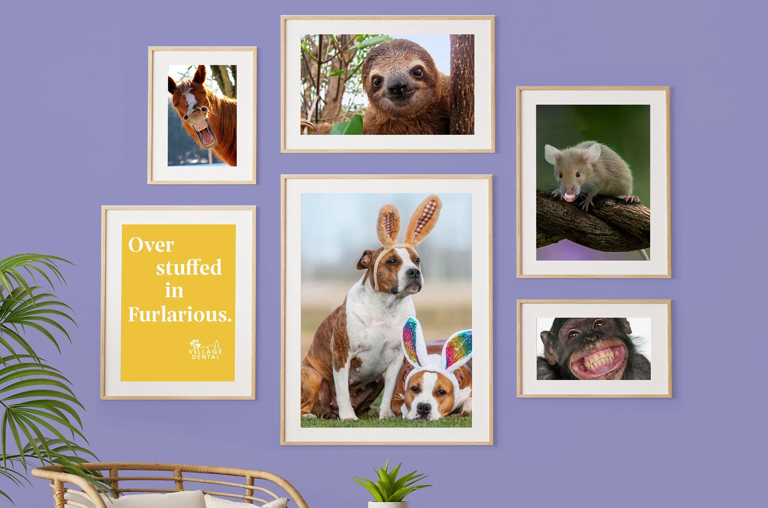 VillageDental_29R2C2_Interiors (1).webp