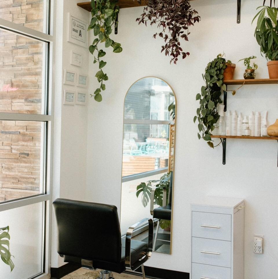 Natural light ftw 🌿✨

We love how much light we get in the studio! Not only do our plants go crazy for it, but it&rsquo;s great for showcasing your hair color! 

We have appointments available for the holidays! Click the link in our bio to book ✨

#