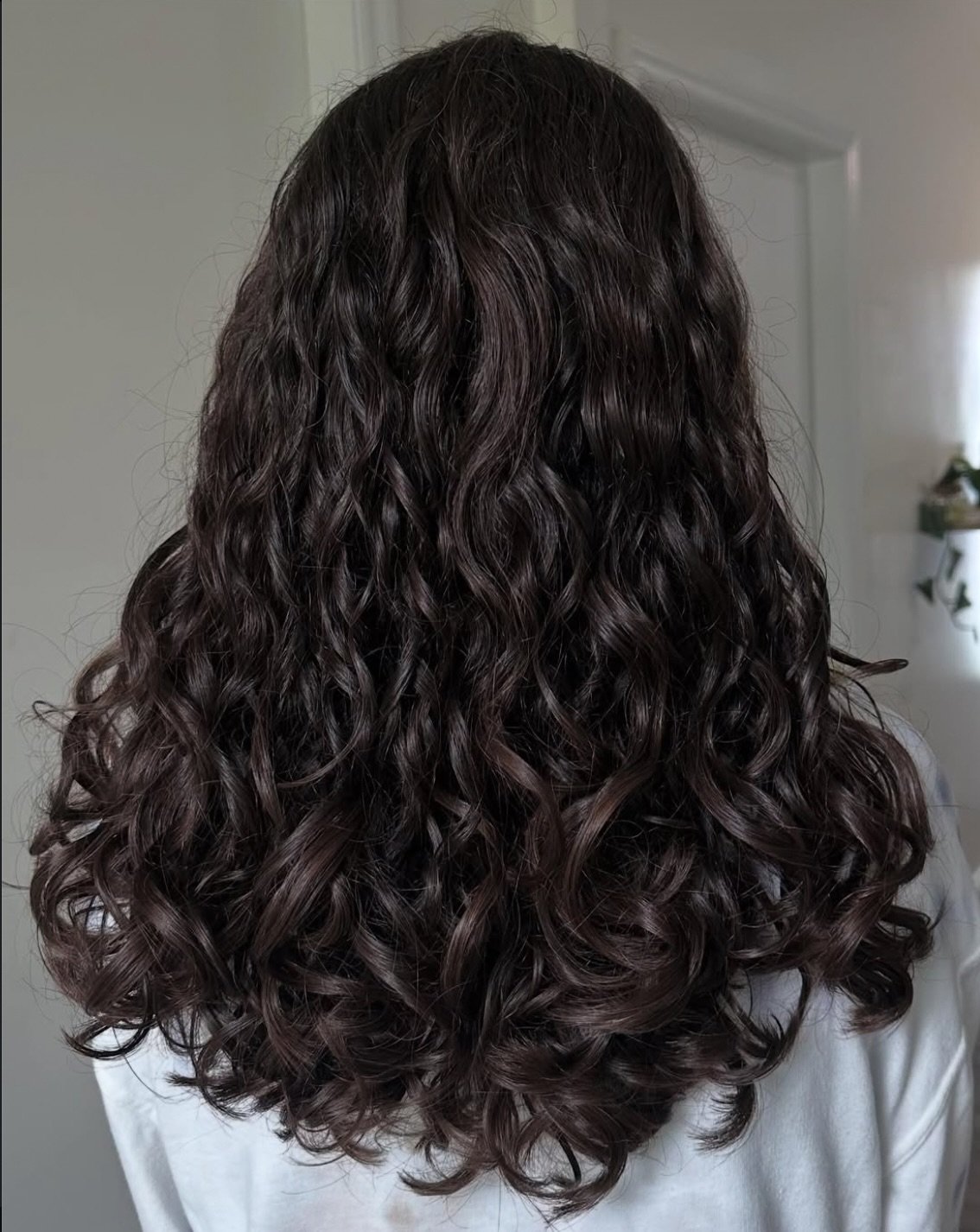 Revitalized Curls x @avaneelyhair ➰

Ava is accepting new clients for customized cuts and color! Click the link in our bio to book with her today! 

#charlottehair #charlottehairstylist #charlotteblondes #charlottesalon #charlotteextensions #charlott