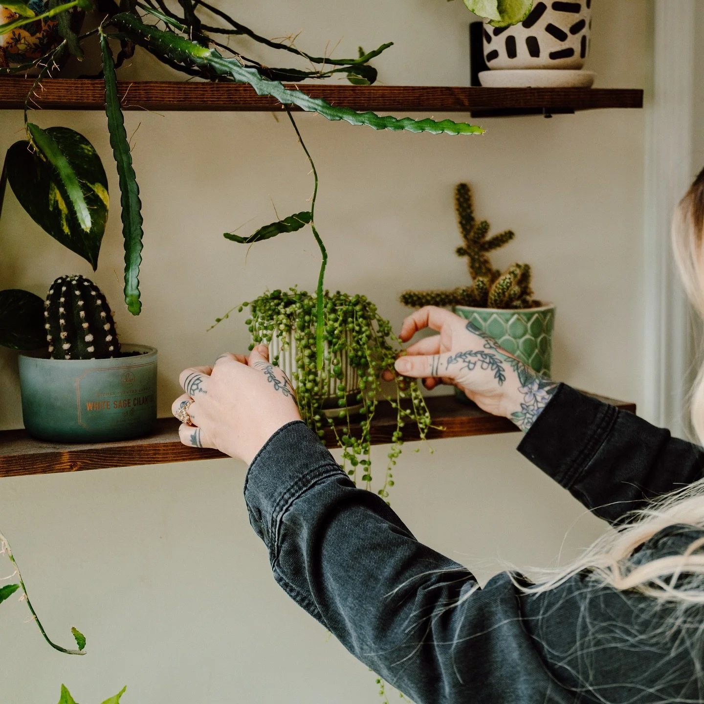 Suns out, plants are thriving 🌱🌵🌿

If you drive passed our window on South make sure you give a little honk and wave!! You can see all our glorious plants, and our team slingin&rsquo; good hair! 

Ready to book with us? Click the link in our bio! 