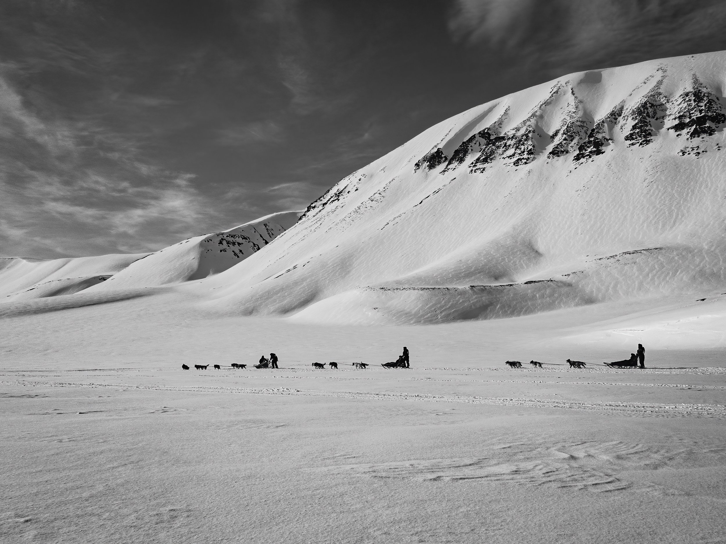 dog sledge svalbard