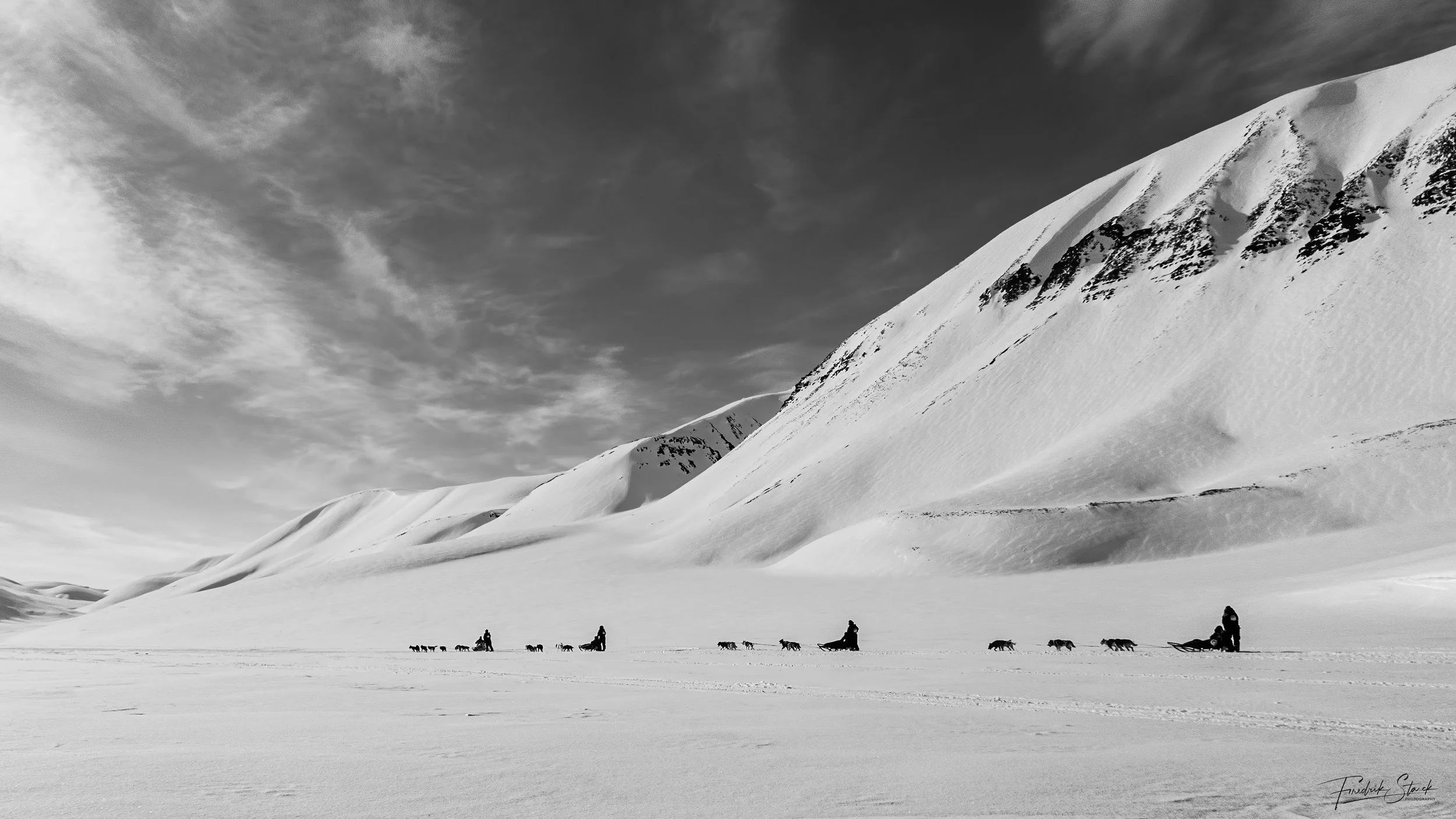 dog sledge Svalbard .jpg