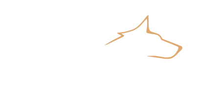 SECRETT ANIMALS