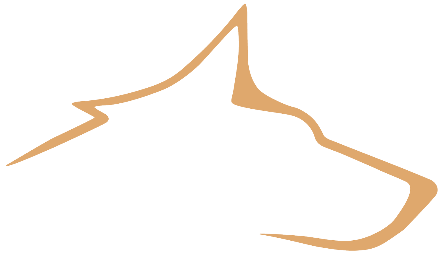 SECRETT ANIMALS
