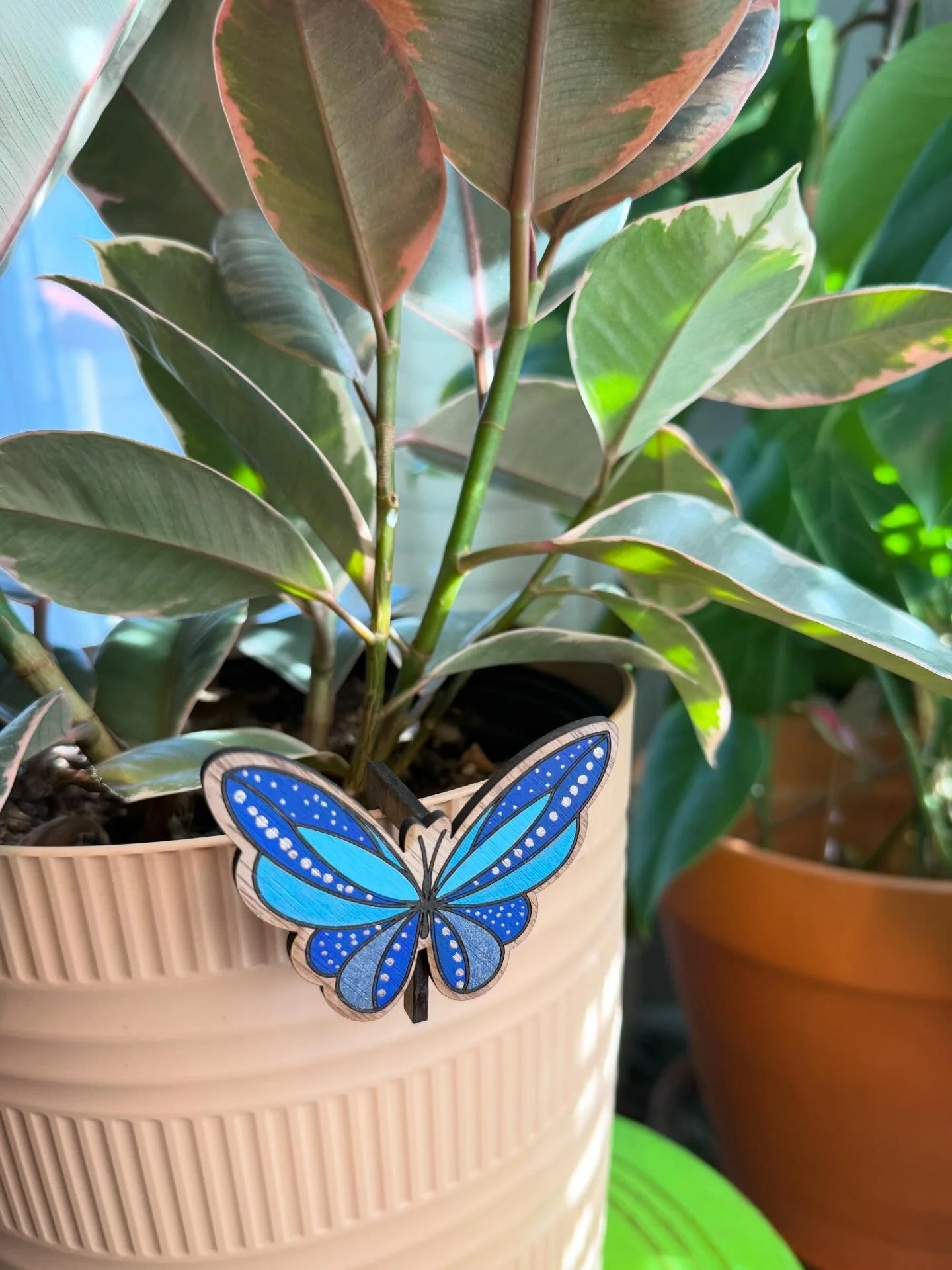 Butterfly Pot Percher