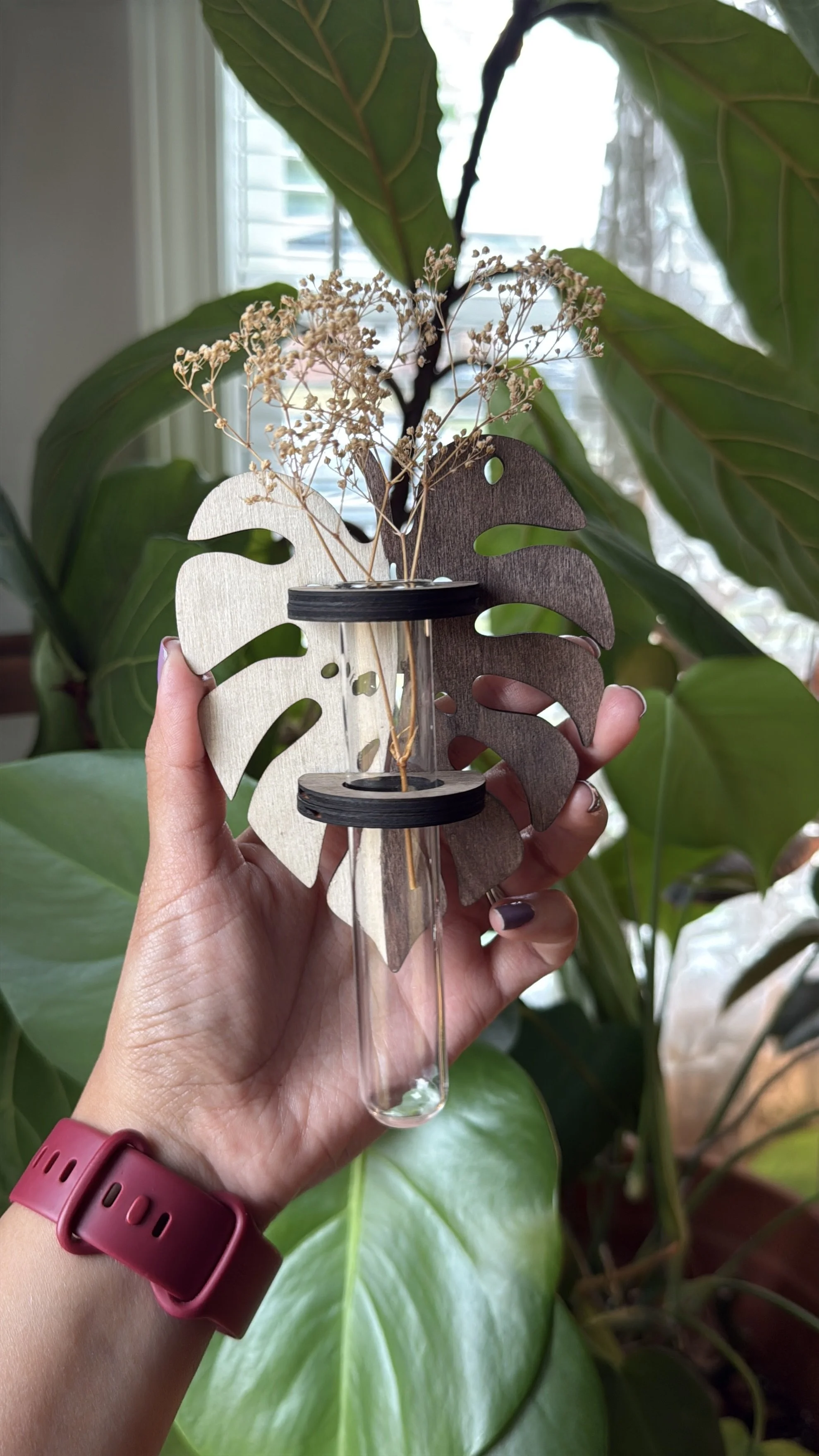 Monstera Propagation Station