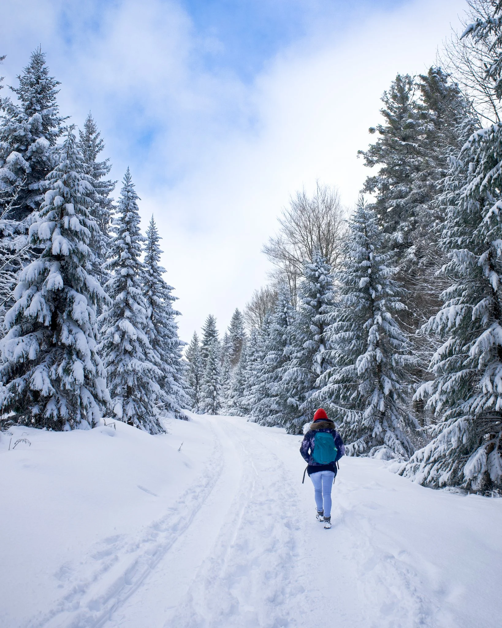 Scenic Winter Hike Uetliberg