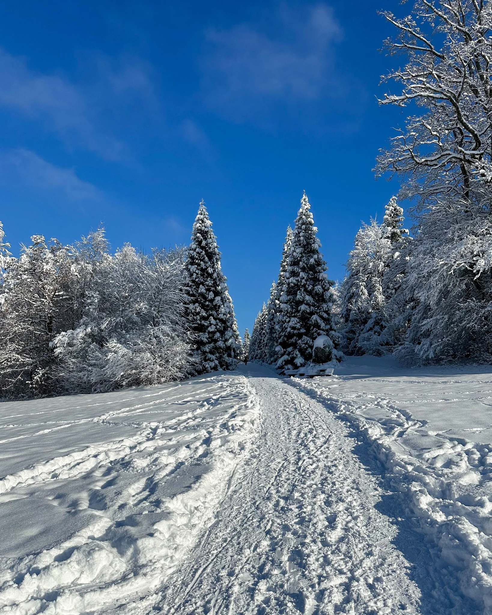 Uetliberg Winter Hike