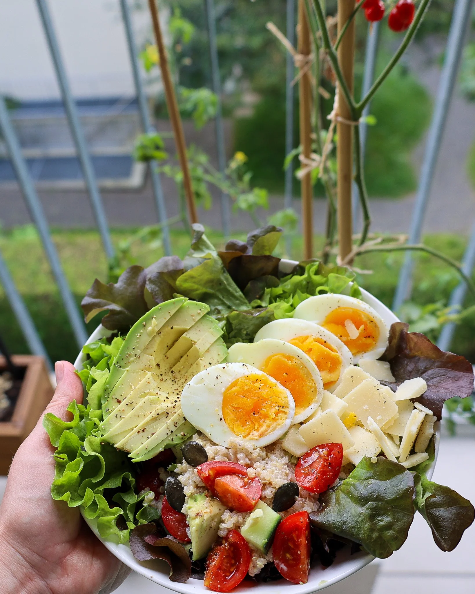 Avocado, Egg &amp; Quinoa Salad