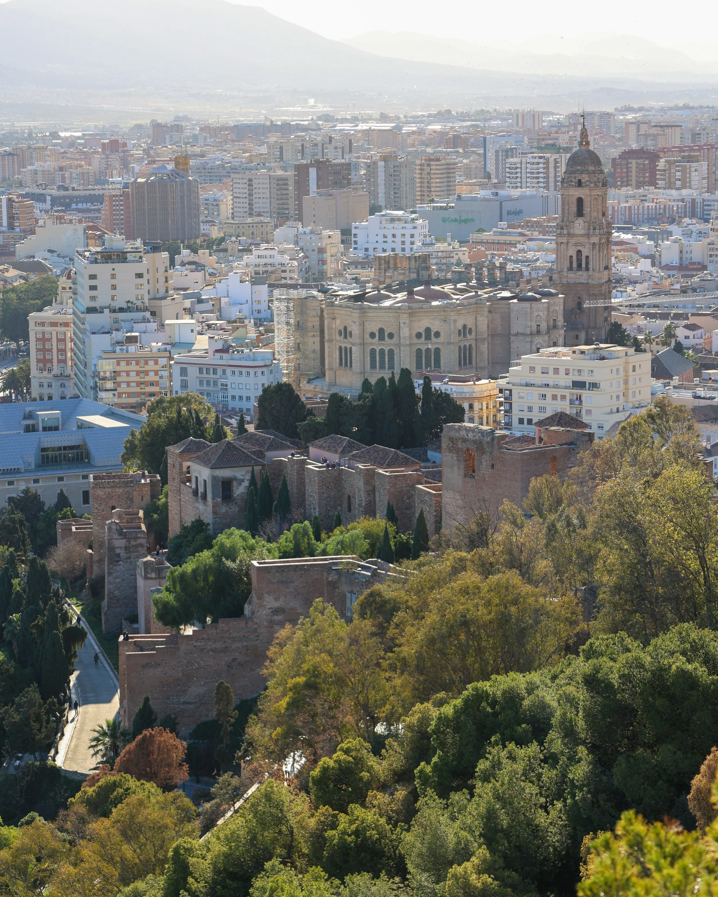 Where to eat in Málaga?