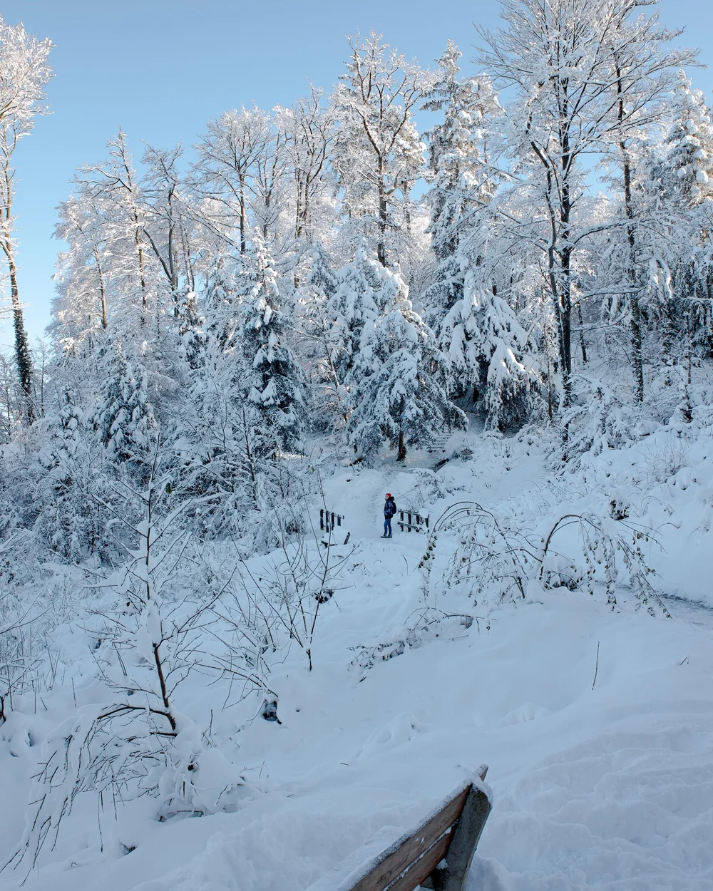 Uetliberg in winter