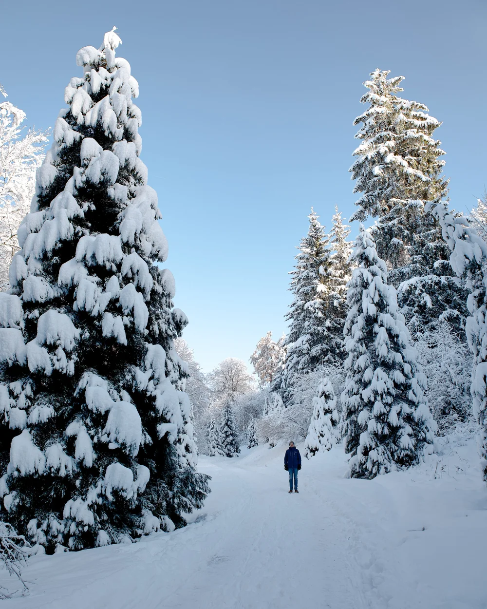 Uetliberg in winter
