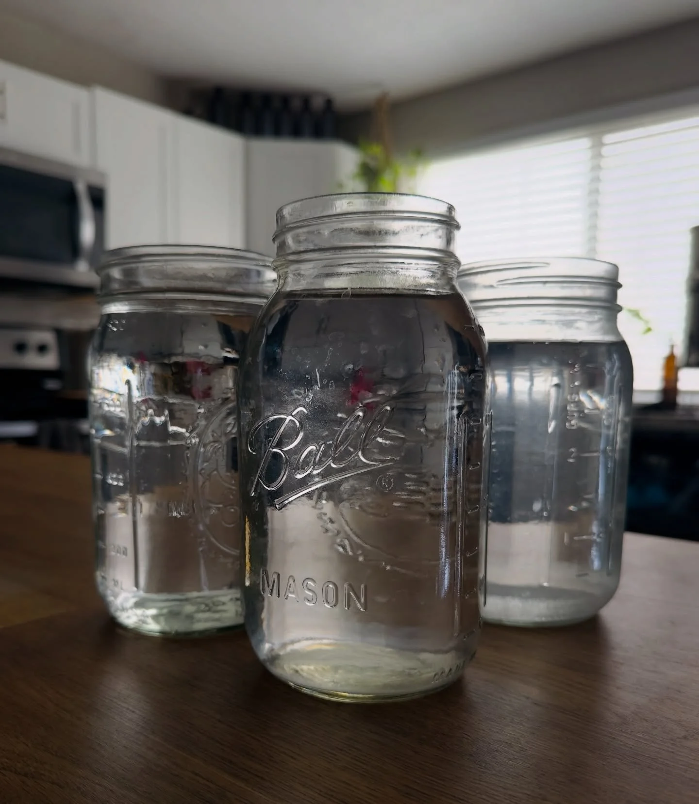 I get a lot of questions about how much water I consume daily. 

To easily break it down - I drink at least a gallon each day. I front load my counter in the morning with 4, 32 oz. mason jars of purified water. I add electrolytes and trace mineral dr