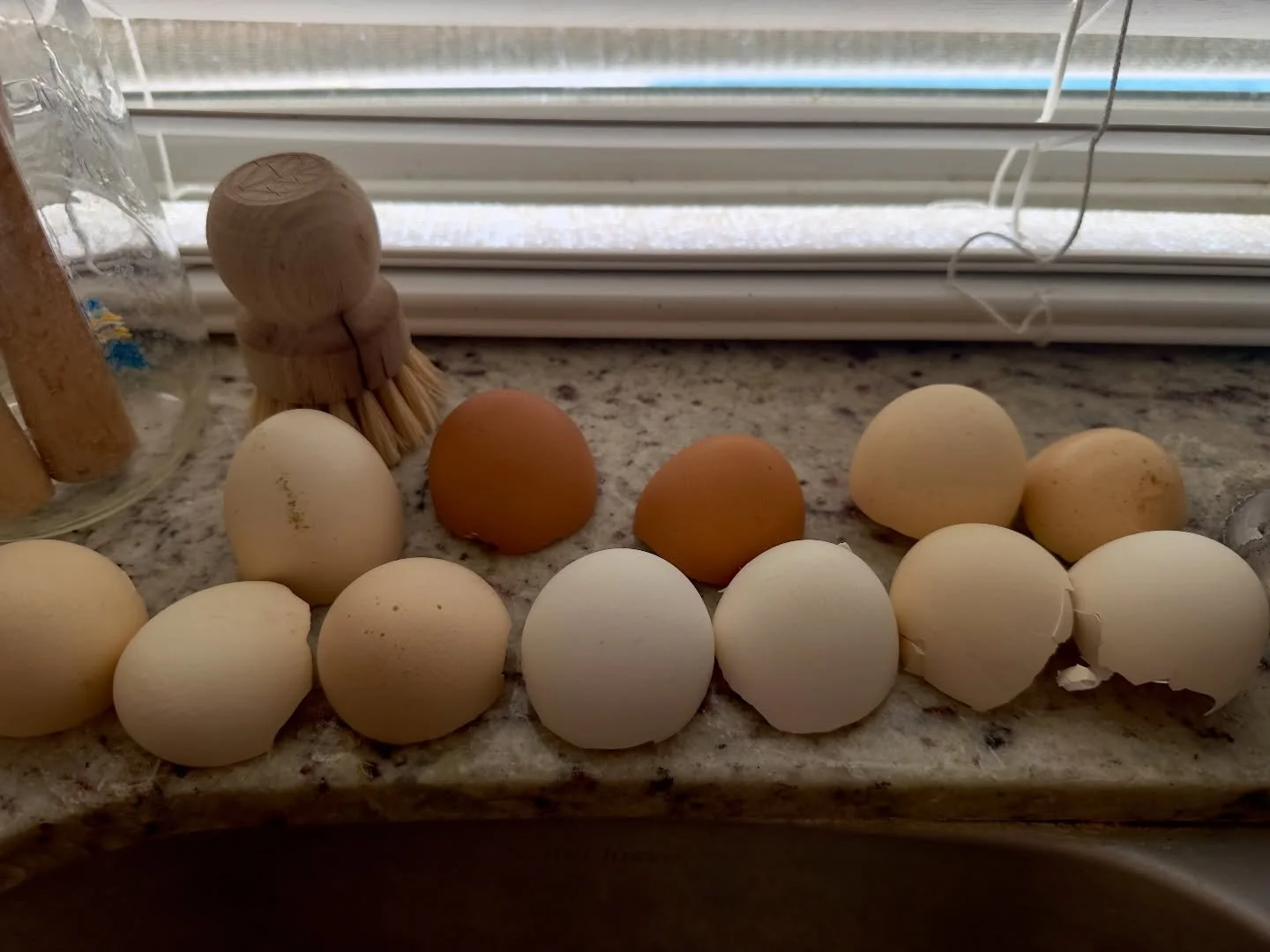 Don&rsquo;t toss old eggshells away! Your tomatoes and peppers may need them!

When eggshells are rinsed, dried and crushed into small pieces, they can be mixed into the soil around tomato and pepper plants.

Bene&rsquo;s:
&bull; Add calcium to the s