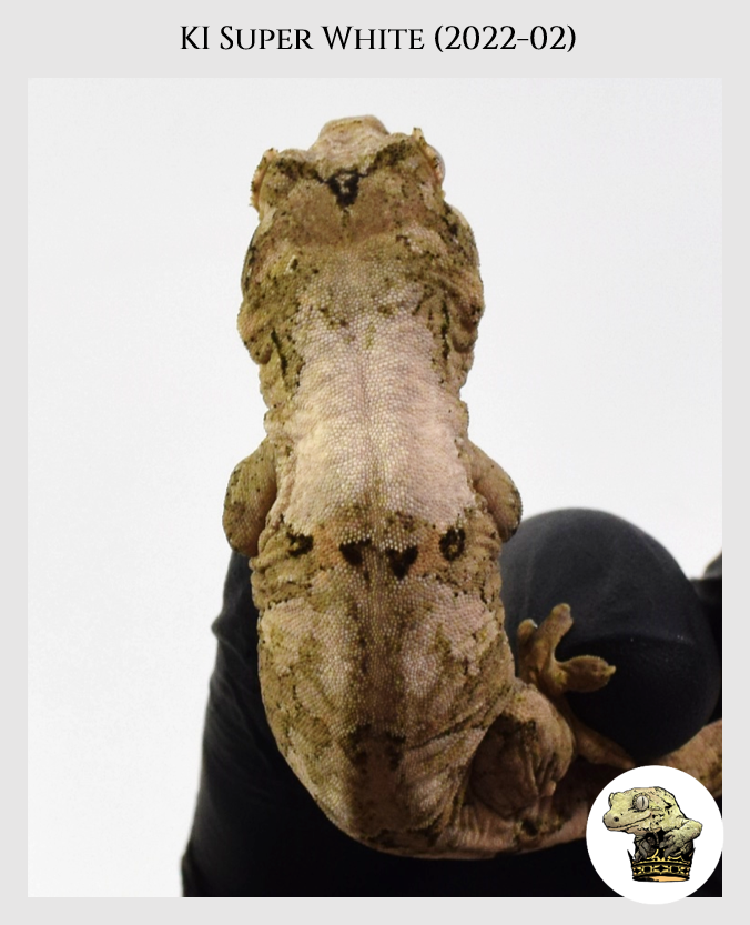 KI Super White (2022-02) (2023-04-30) (1).png