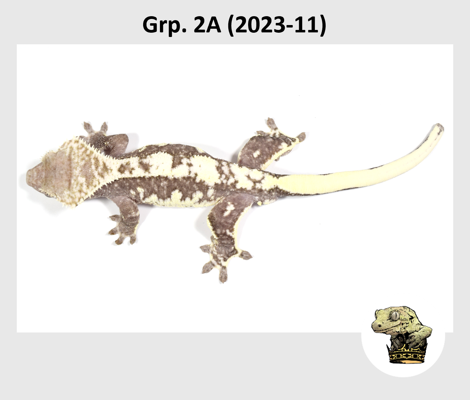 MM Grp. 2A (2023-11) (2024-12-23) (4).png