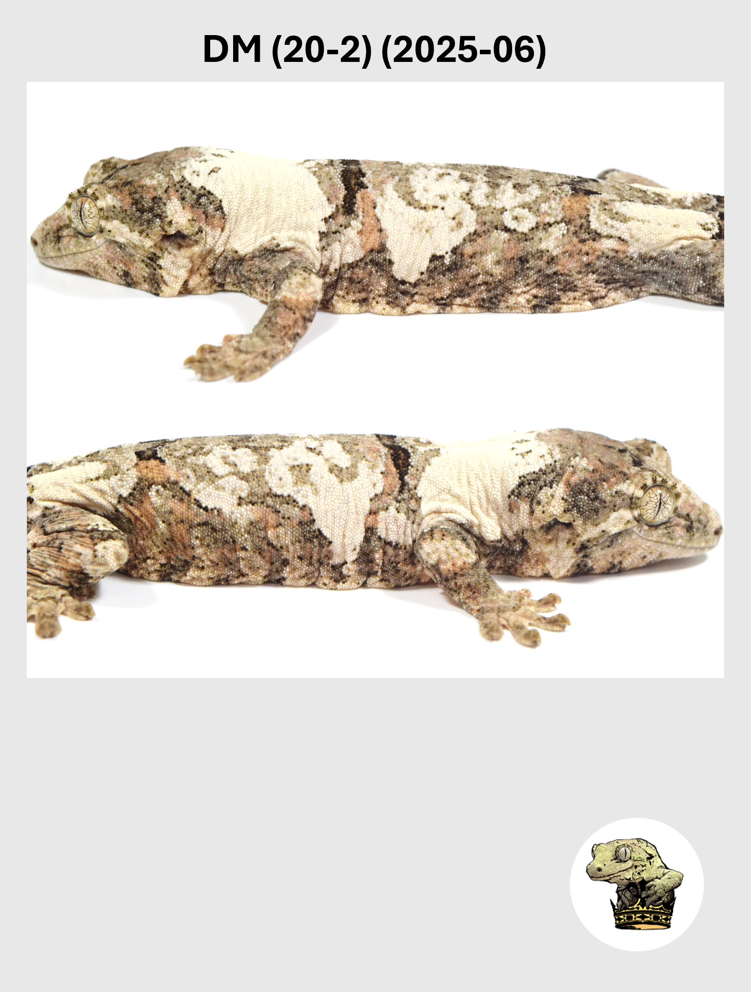 DM (20-2) (2025-06) (2026-03-25) (5) SQSP.png