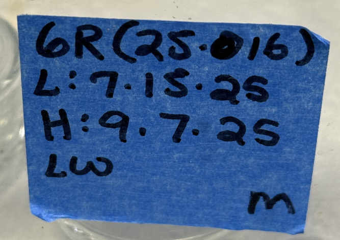 Screenshot 2026-08-22 at 13-51-05 Messenger - MorphMarket.png