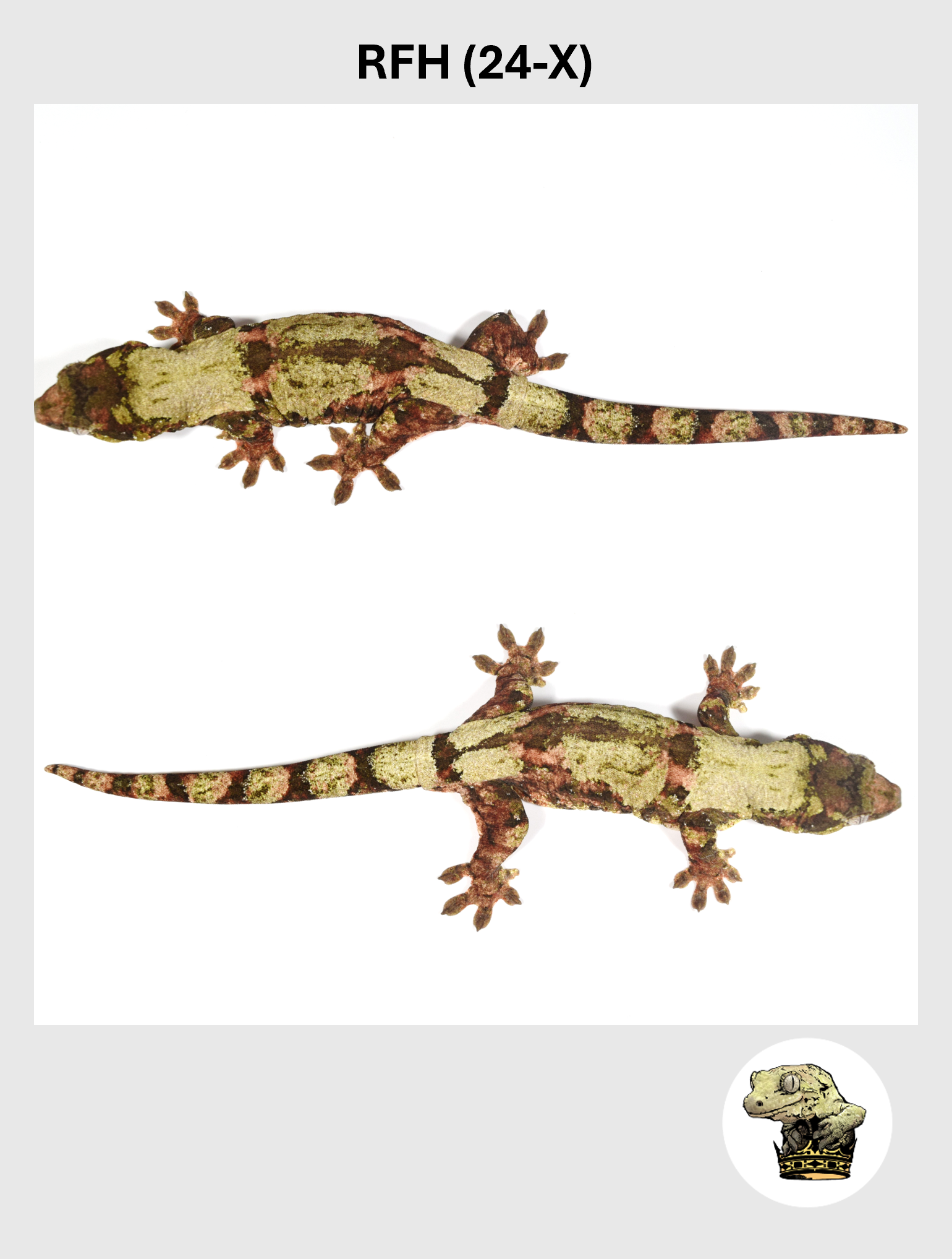 RFH (24-X) (2025-12-22) (3) SQSP.png