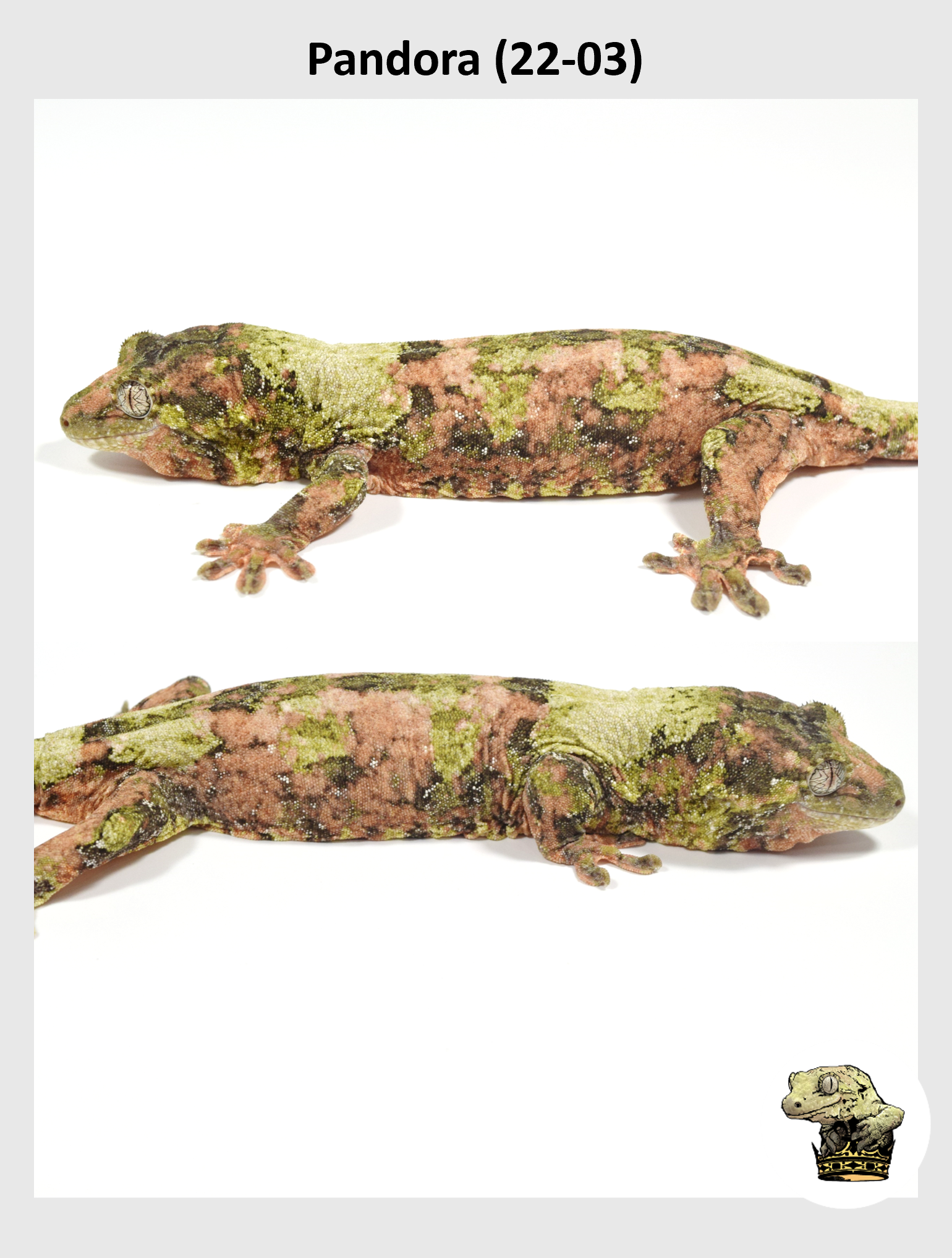 Pandora (22-03) (2024-06-26) (2) SQSP.png