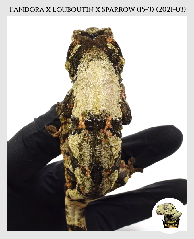 Pandora (2021-03) (2022-05-01) WM 1-vert (2).png