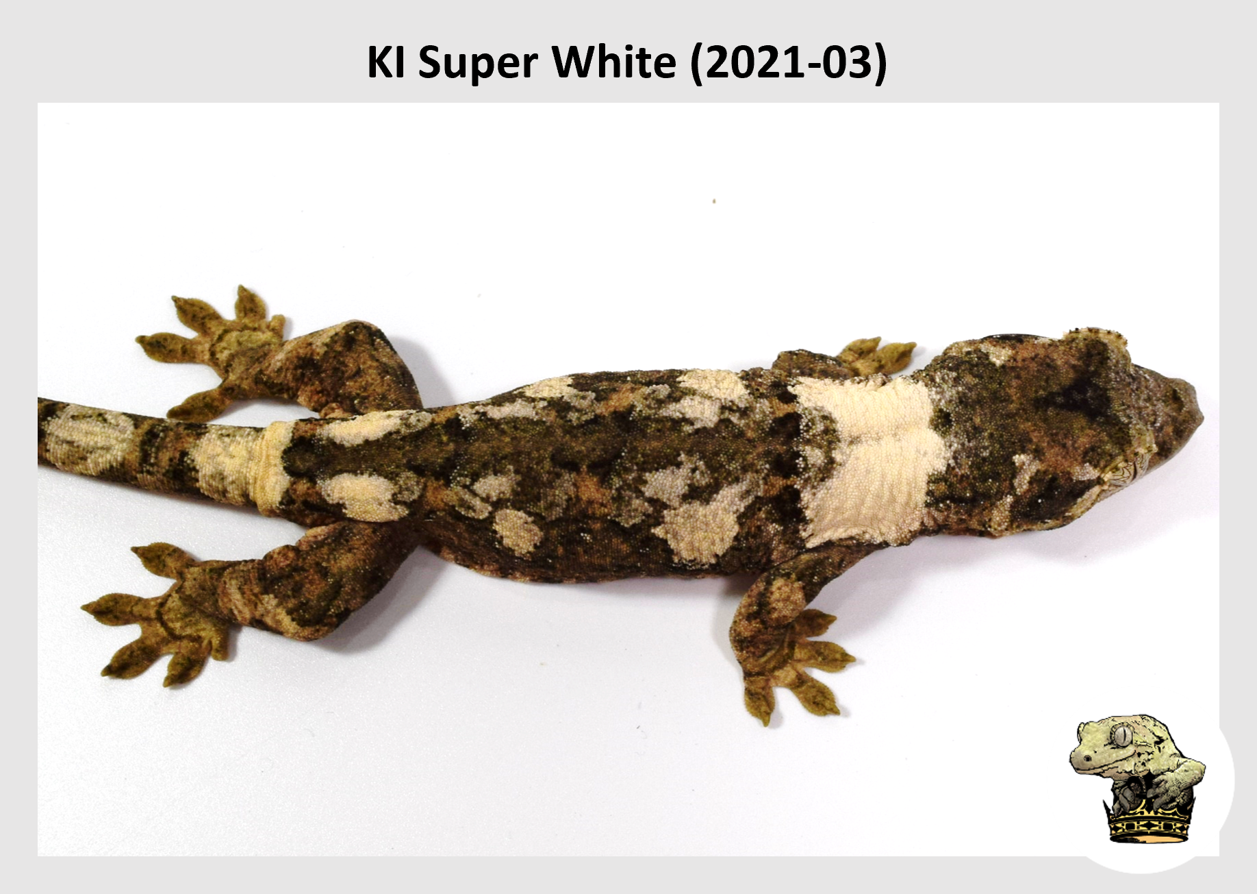 KI Super White (2021-03) WM (2022-01-06) (2).png