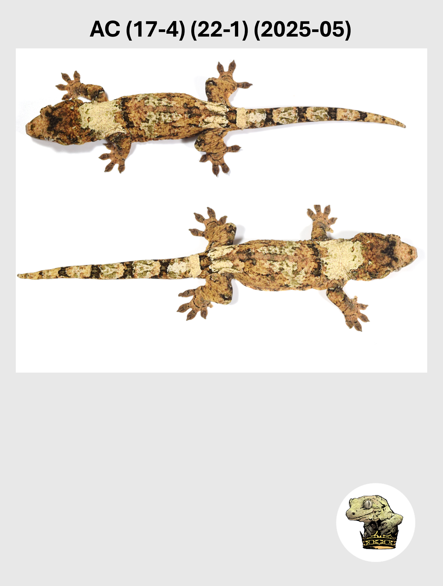 AC (17-4) (22-1) (2025-05) (2026-03-11) (3) SQSP.png