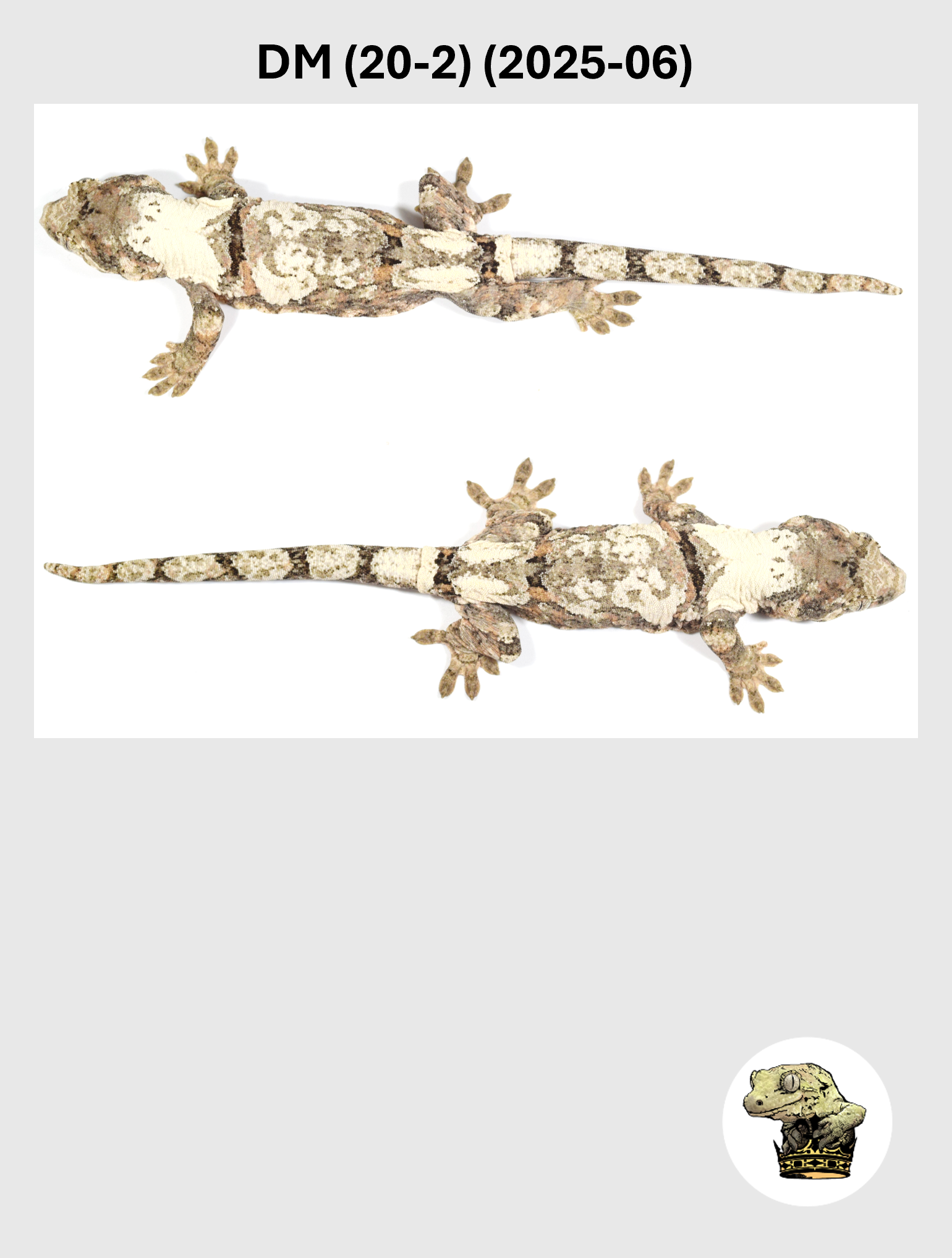 DM (20-2) (2025-06) (2026-03-25) (4) SQSP.png