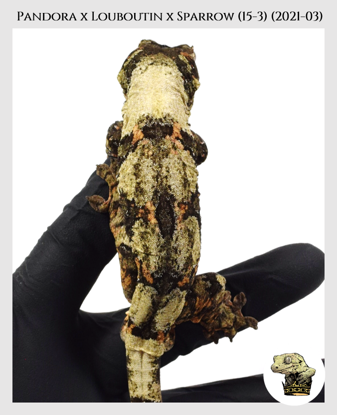 Pandora (2021-03) (2022-05-01) WM 1-vert (3).png