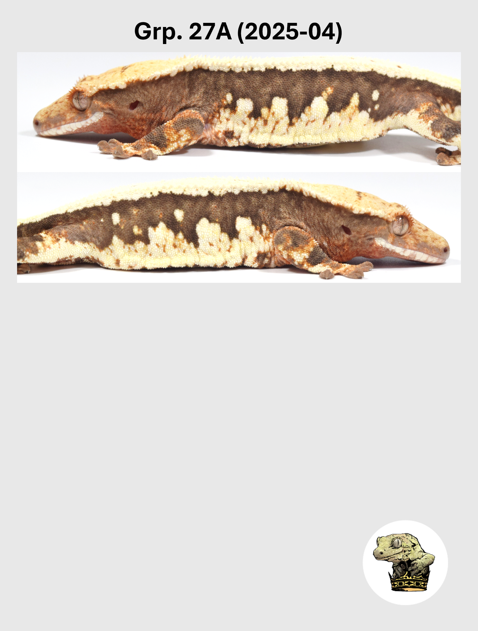 Grp. 27A (2025-04) (2026-10-14) (2) SQSP.png