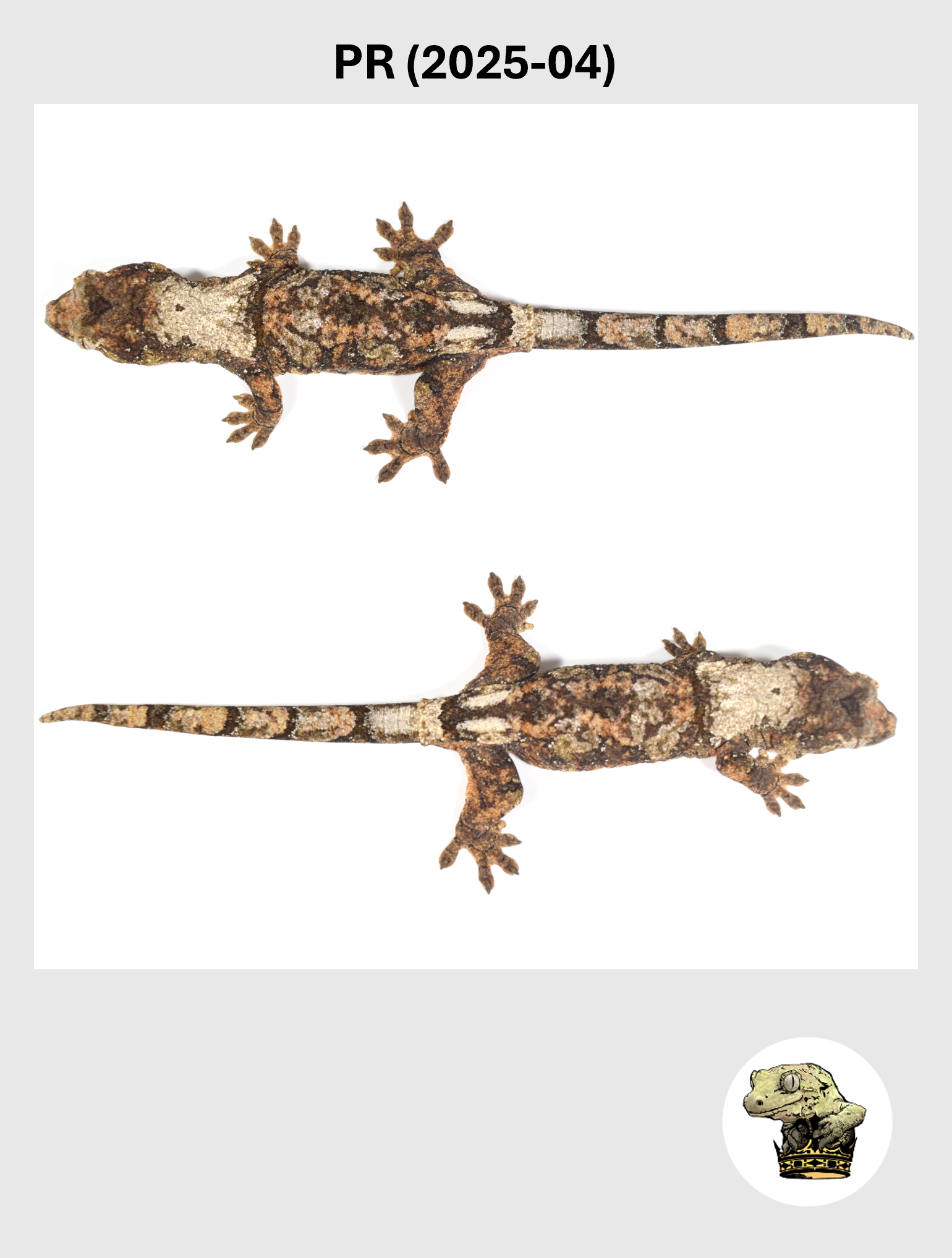 PR (2025-04) (2026-10-02) (3) SQSP.png