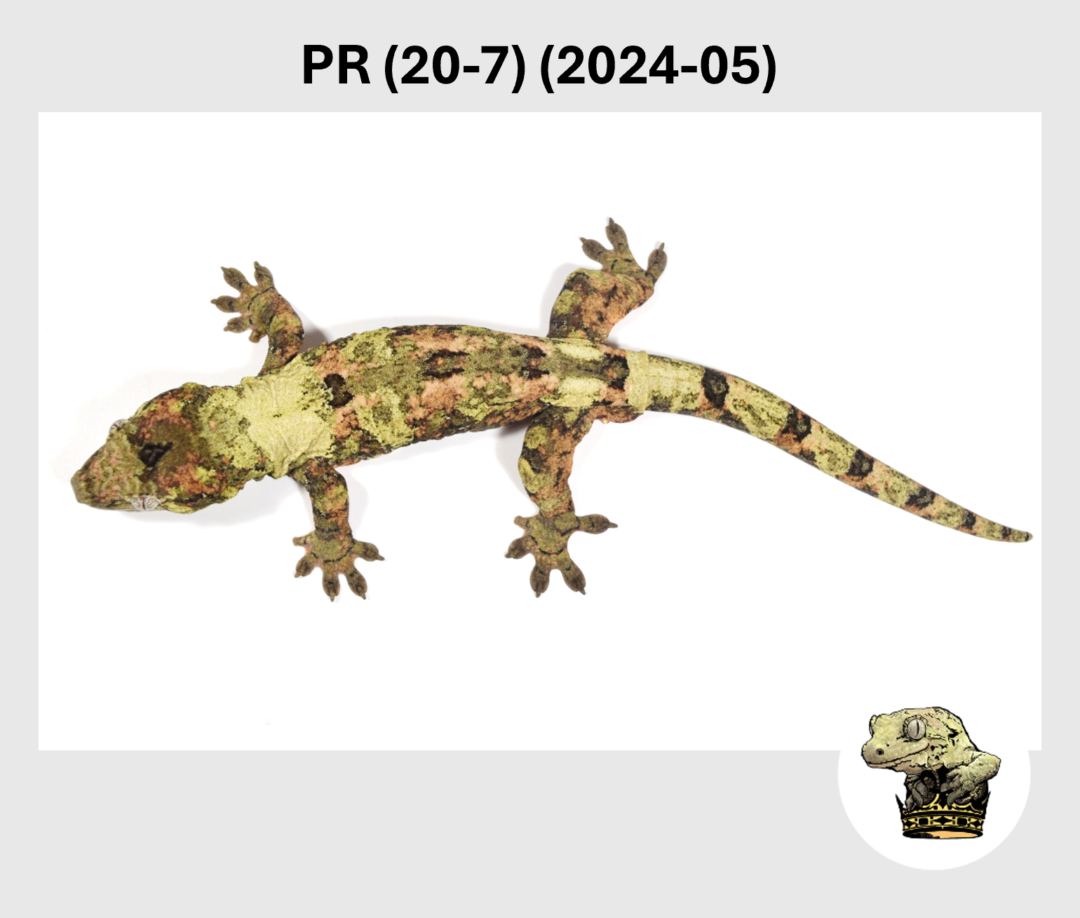 PR (20-7) (2024-05) (2025-08-12) (4) MM.png (Copy)