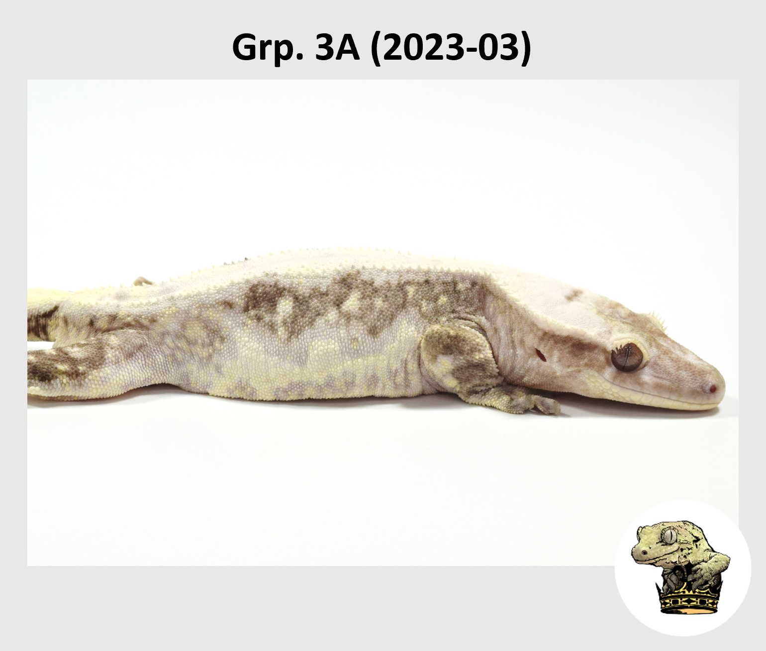MM Grp. 3A (2023-03) (2024-08-17) (3).png