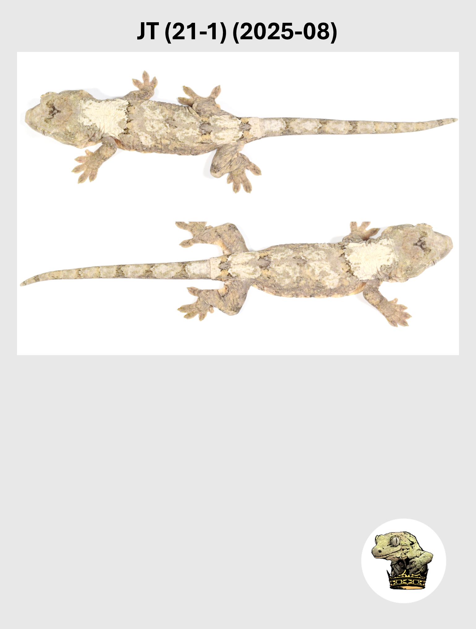 JT (21-1) (2025-08) (2026-03-04) (5) SQSP.png