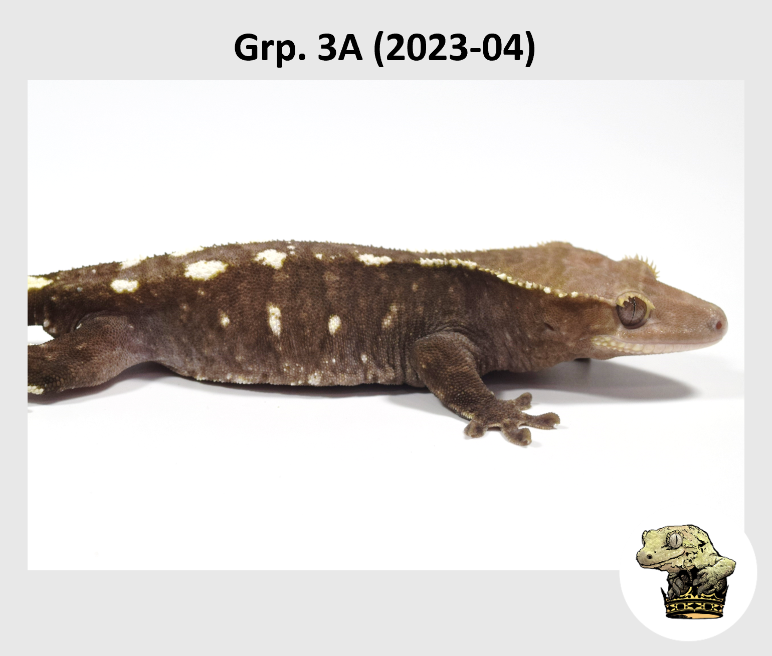 MM Grp. 3A (2023-04) (2024-08-17) (3).png