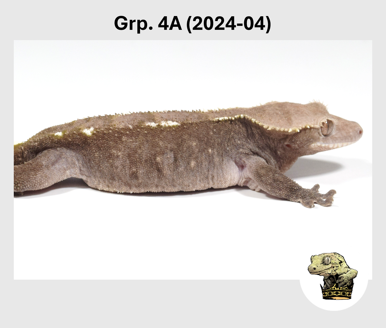 MM Grp. 4A (2024-04) (2025-10-28) (3).png