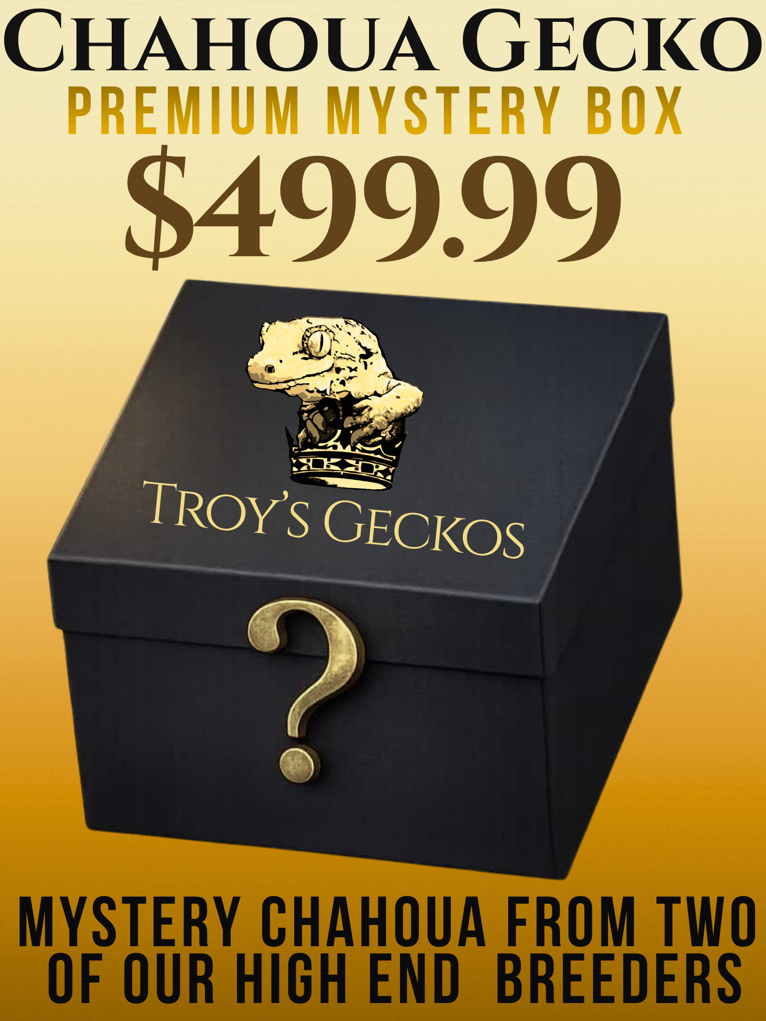 Chahoua Mystery Box for Web Resized.png